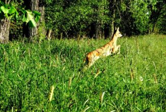 Fill Your Pantry With Help From Mother Nature